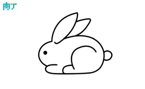 兔子簡單畫法 臉上痣